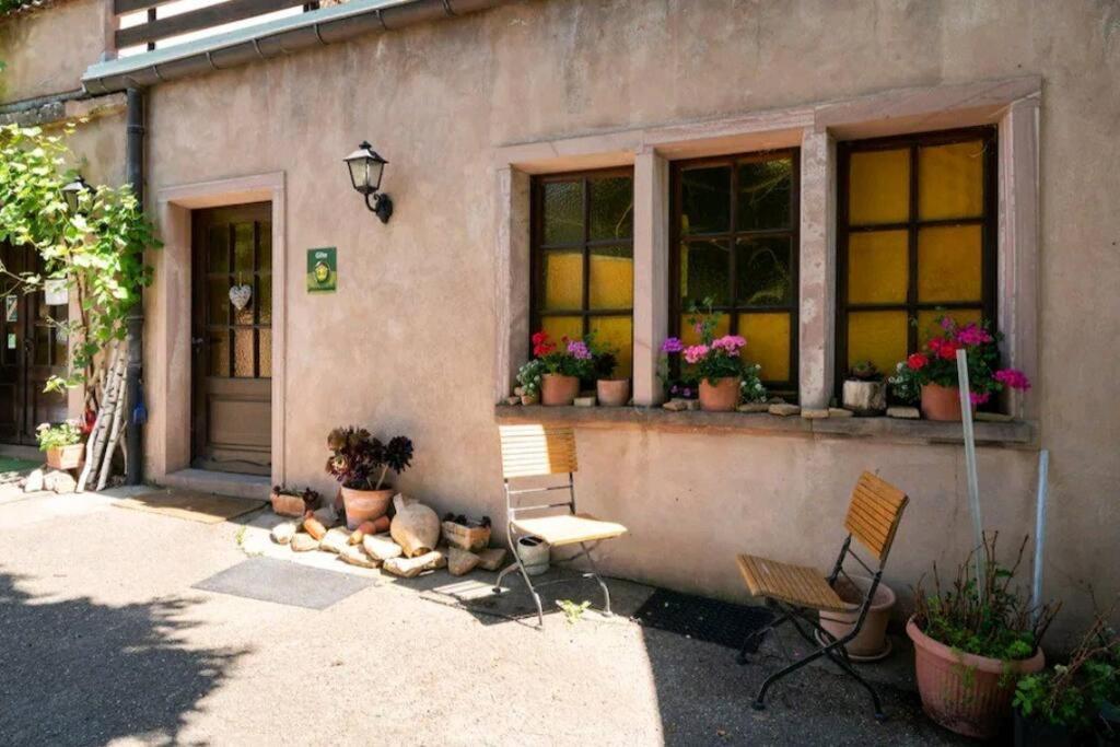 Gite L'Oeuf Ou La Poule, Parking Prive, Sur Domaine Viticole Ribeauvillé Exteriör bild
